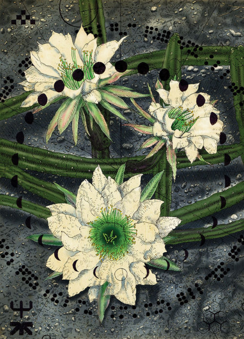 Various Prints by Thomas Baumgartner
