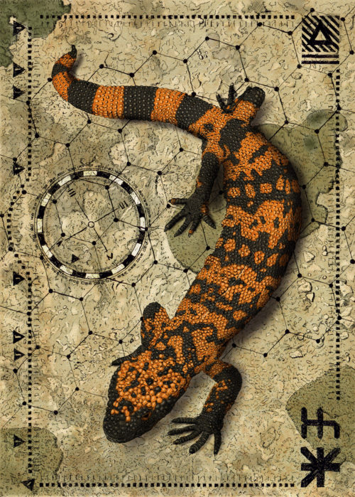 Various Prints by Thomas Baumgartner - Image 3