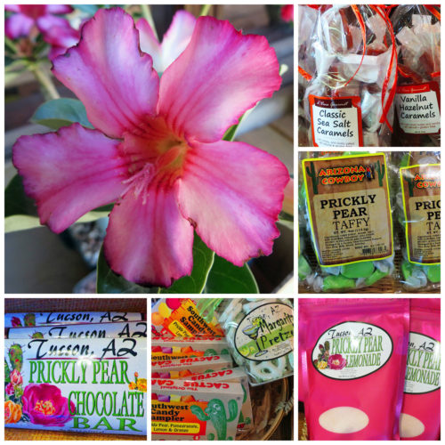 Prickly Pear Cactus Jelly and Snacks - Image 2