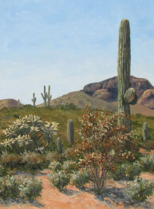 Ron Kenyon - Sonoran Winter Day